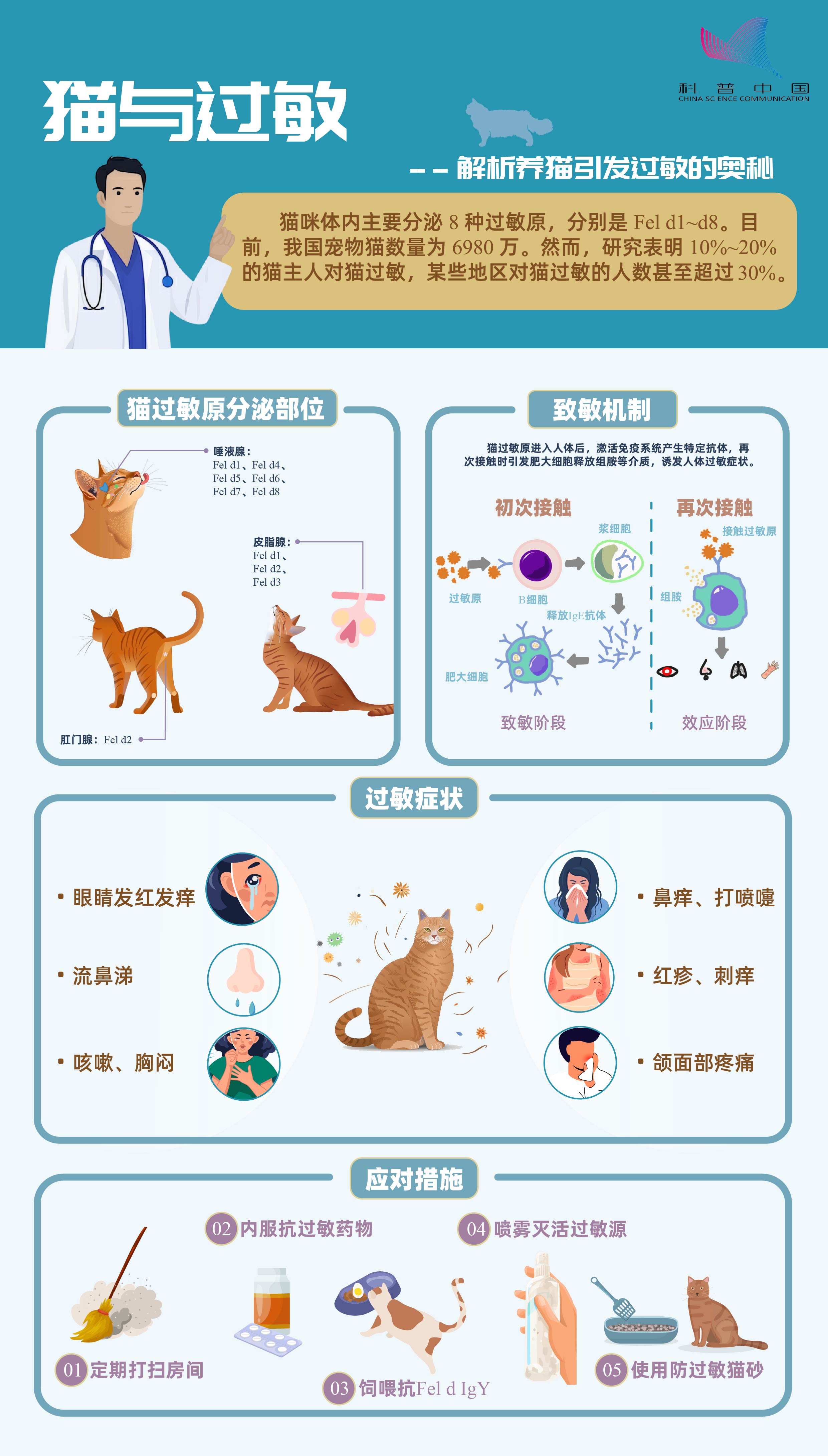 猫与过敏——解析养猫引发过敏的奥秘.jpg