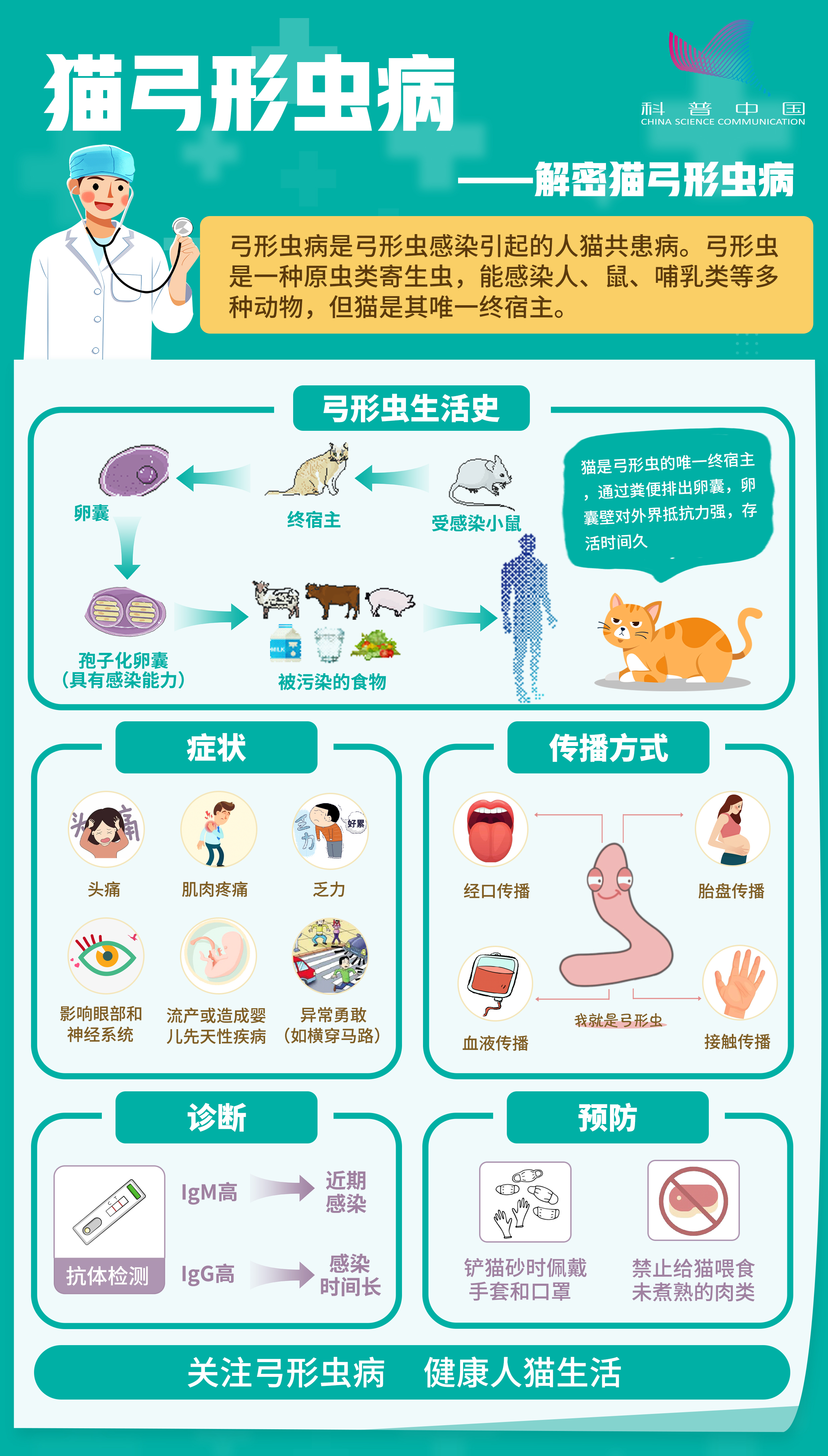 猫弓形虫病——解密猫弓形虫病.jpg